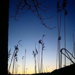 silhouette