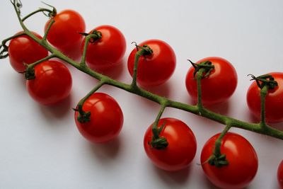Close-up of tomatoes on table against white background