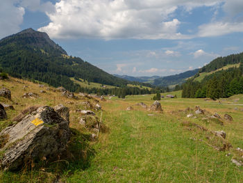 Scenic view of field against sky