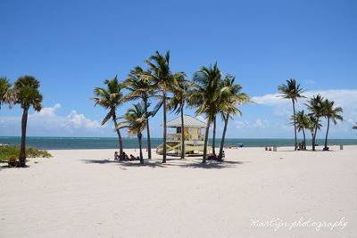 Palm trees on beach against sky