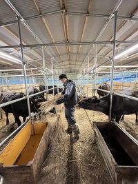 Low angle view of man standing on escalator