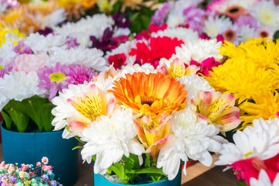 Close-up of flowers