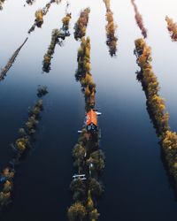 High angle view of houses and trees on lake