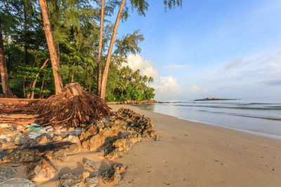 Scenic view of beach against sky