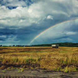 Scenic view of field against rainbow in sky