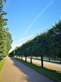 Empty road along plants and trees against blue sky