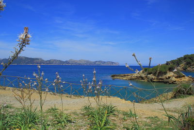 Scenic view of sea against blue sky