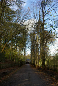 Road amidst trees in forest against sky