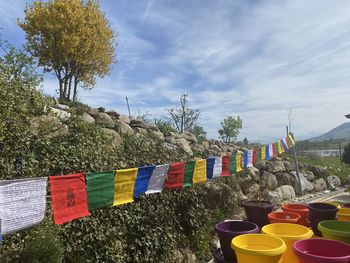 Multi colored flags hanging by trees against sky