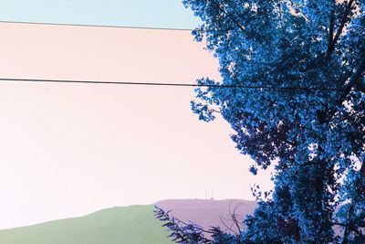 Low angle view of trees against clear blue sky