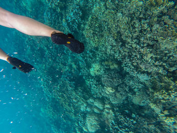 Low section of man swimming in pool