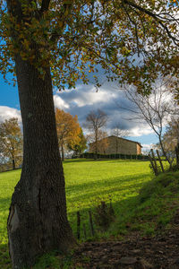 Scenic view of field against sky