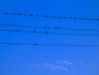 Low angle view of birds perching on cable