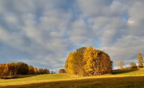 Trees on field against sky during autumn