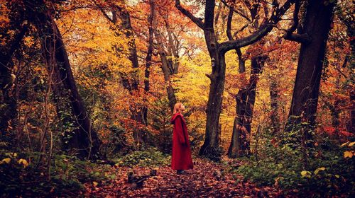 Side view of woman standing by trees in forest during autumn