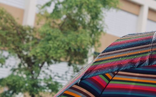 Close-up of multi colored umbrella against trees