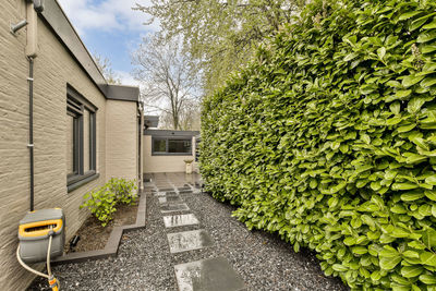 Low angle view of plants