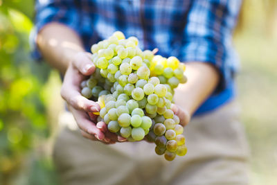 Close-up of hand holding grapes