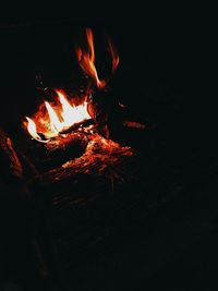 Close-up of fire at night