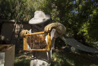 Beekeeper looking at honeycomb in frame