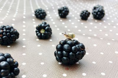 Close-up of black berries