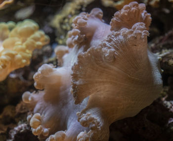 Full frame shot of water