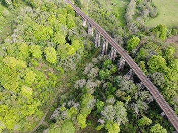 High angle view of railroad tracks amidst trees in forest