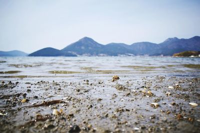 Scenic view of beach against clear sky