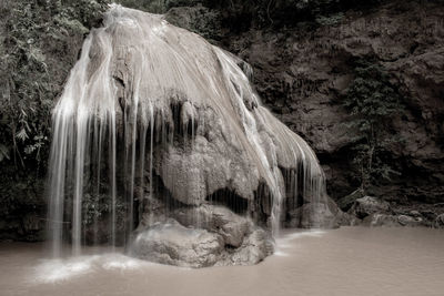 Scenic view of waterfall in forest