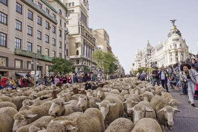 People on street against buildings in city