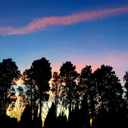 Low angle view of silhouette trees against sky at sunset