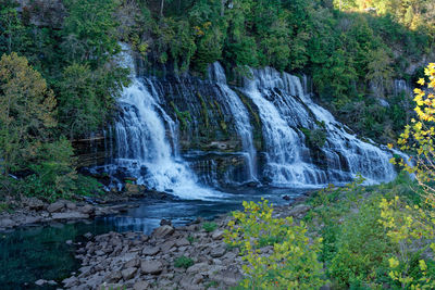 Scenic view of waterfall in forest