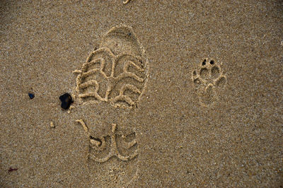 High angle view of footprint on sand