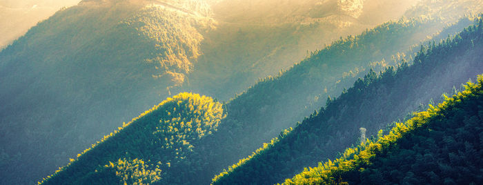 High angle view of land