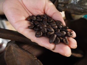 Close-up of hand holding coffee beans