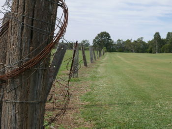 Panoramic shot of trees on field against sky