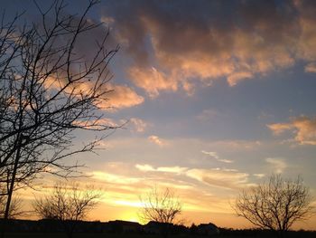 Silhouette of trees at sunset