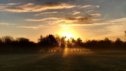 Trees on field against sky during sunset