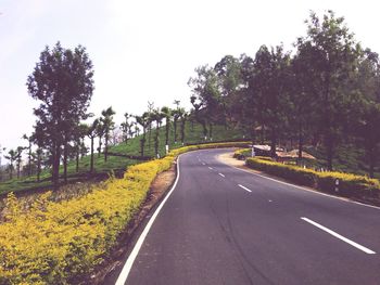 Road amidst trees against clear sky