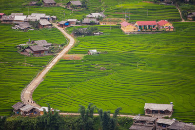 Scenic view of agricultural field by houses and buildings