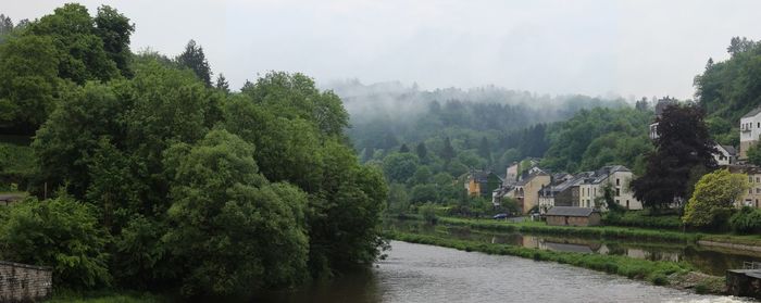 Scenic view of river by trees against sky