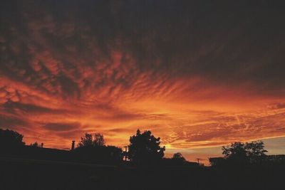 Silhouette of trees at sunset