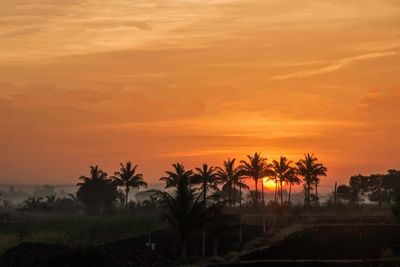 Silhouette palm trees on landscape against orange sky