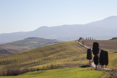 Scenic view of farm against sky