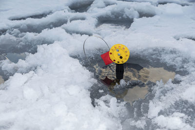 Toy on snow