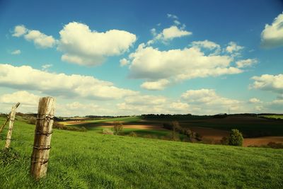 Scenic view of grassy field against sky