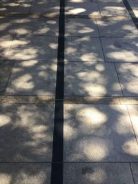 High angle view of shadow on ground