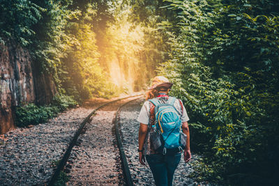 Rear view of man walking in forest