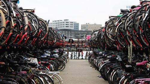 Bicycles parked in row against sky