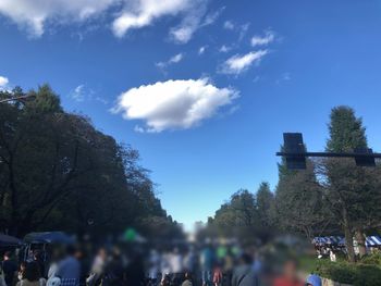 Low angle view of trees against blue sky